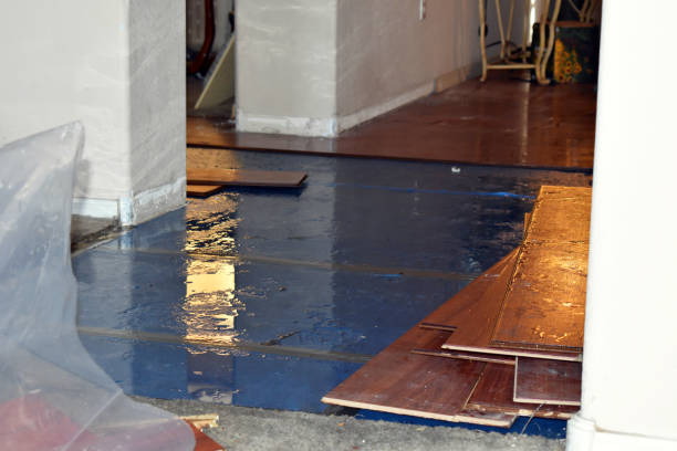 Professional Water Damage Restoration technician working in Cutler, OH